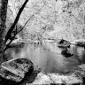 Meet your Posher, Lena